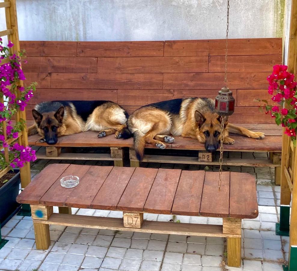 Toca Do Lobo Apartment ชาร์เนกา ภายนอก รูปภาพ