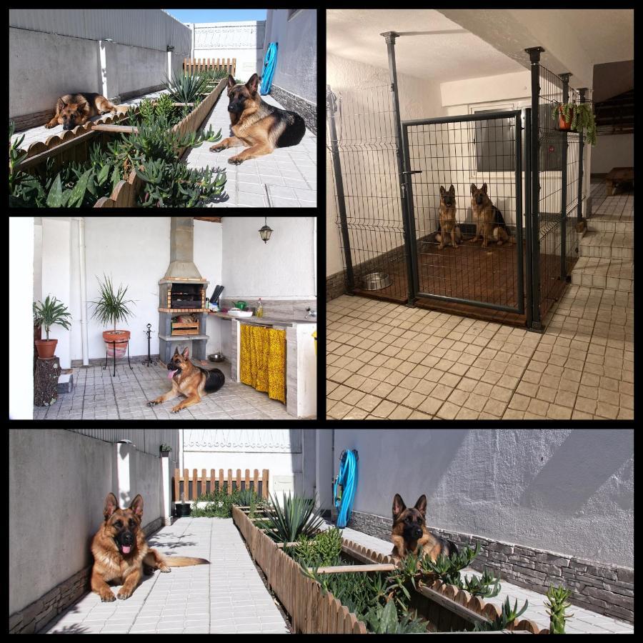 Toca Do Lobo Apartment ชาร์เนกา ภายนอก รูปภาพ