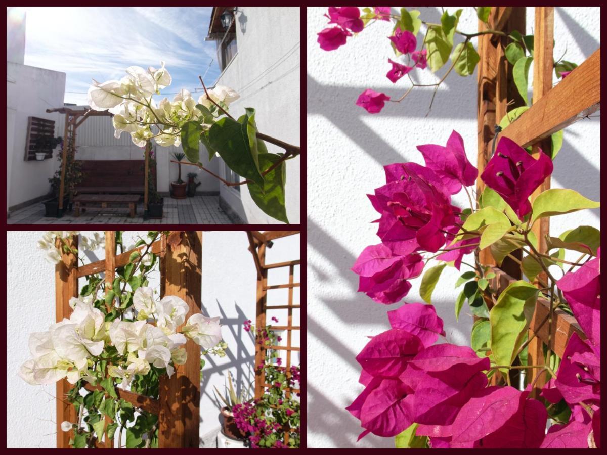 Toca Do Lobo Apartment ชาร์เนกา ภายนอก รูปภาพ